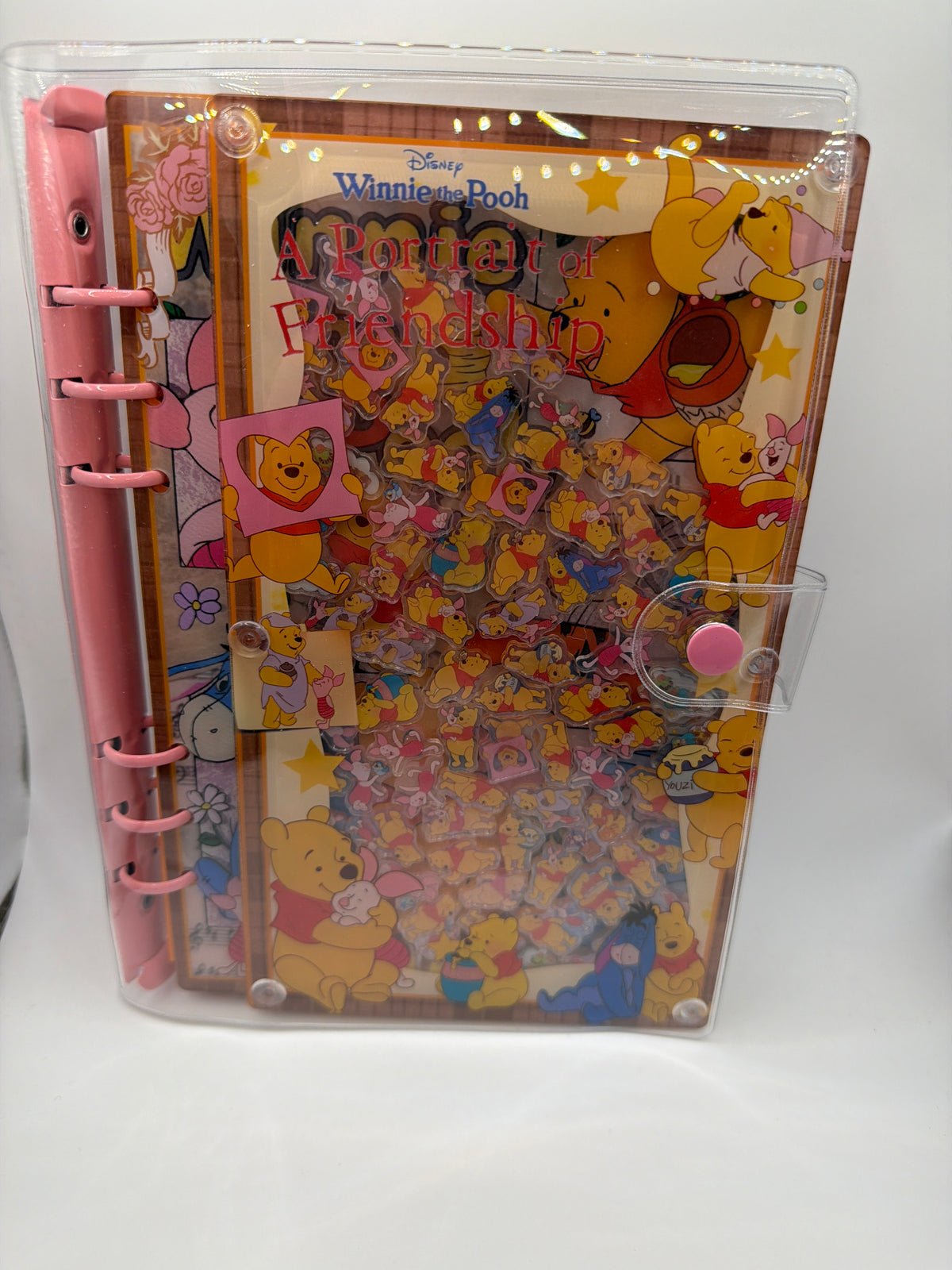 Winnie the Pooh shaker notebook A5