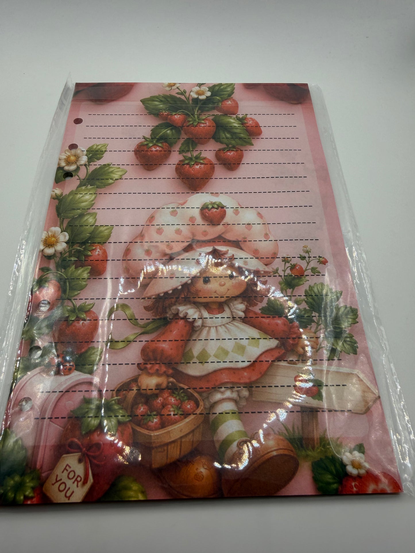 Strawberry Shortcake A5 Binder
